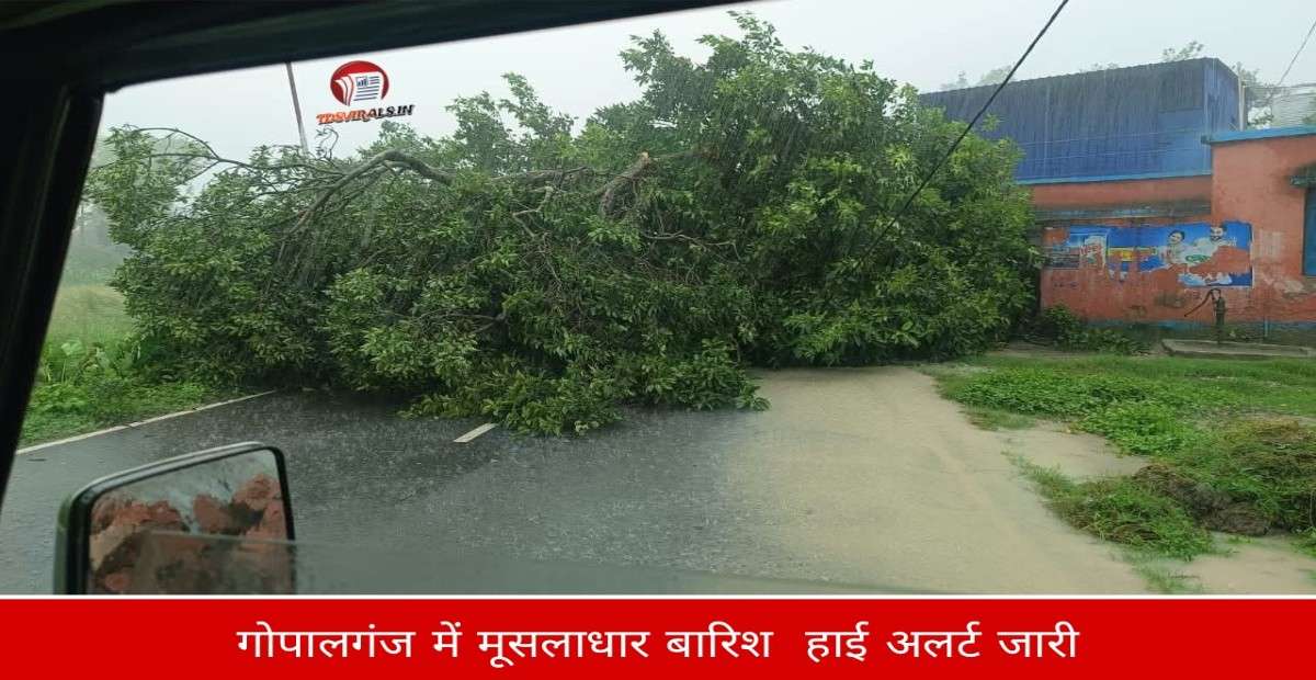 Gopalganj weather alert