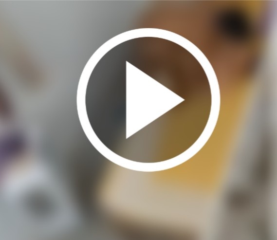 Raghunathpur SI Police Ka Video