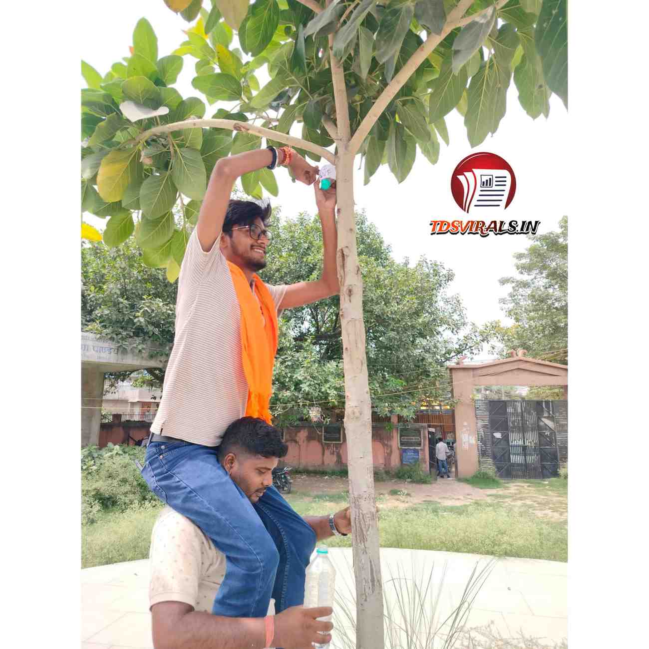 Abvp