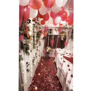 Train Honeymoon Suite Viral Video